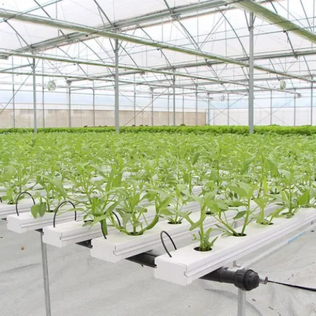 hydroponic system (1).png