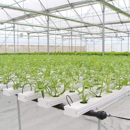 What Is A Hydroponic System?